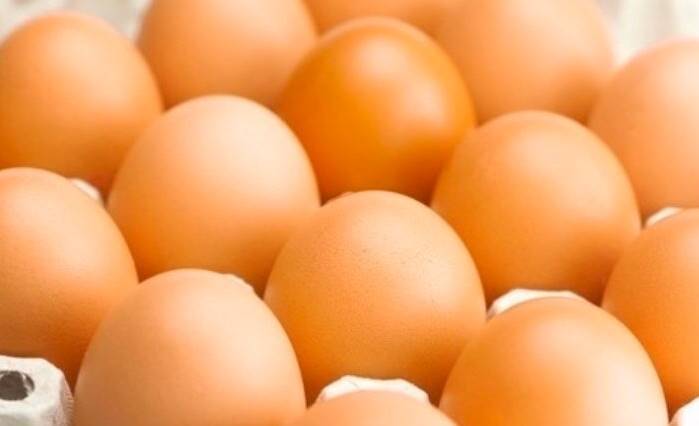 계란 단백질